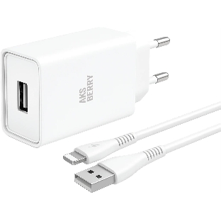 Зарядное устройство Aksberry T40 1USB 24A + Lightning (белый)