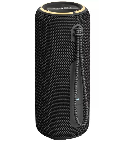 Портативная колонка AIWA PAS-H200 черный