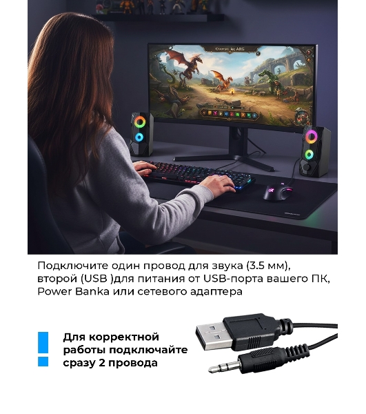 Портативная колонка Ritmix SP-3050