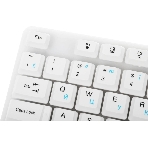 Клавиатура проводная Defender GK-172, USB, белый, фото8