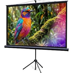 Экран на штативе Lumien Eco View 130x227см (раб.область124х221 см) (100') Matte White 16:9
