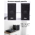 Портативная колонка Ritmix SP-3035W, фото7