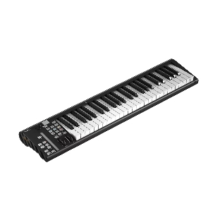 MIDI клавиатура 110105A2035 Icon Artist 49X