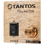Усилитель Tantos TSo-AA30M выход 100Вт/30Вт, фото10