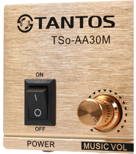 Усилитель Tantos TSo-AA30M выход 100Вт/30Вт