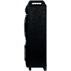 Акустическая колонка Dialog Oscar AO-220 1.0, 100W RMS, Караоке с беспр. микр, BT/FM/USB/SD/GT, фото6