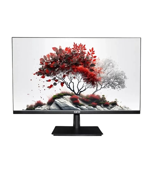 Монитор RDW Computers 23.8' RDW2401K черный IPS 4ms HDMI M/M HAS Piv 350cd 178гр/178гр 1920x1080 100Hz VGA DP FHD USB (RUS)