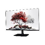 Монитор RDW Computers 23.8' RDW2401K черный IPS 4ms HDMI M/M HAS Piv 350cd 178гр/178гр 1920x1080 100Hz VGA DP FHD USB (RUS), фото 1
