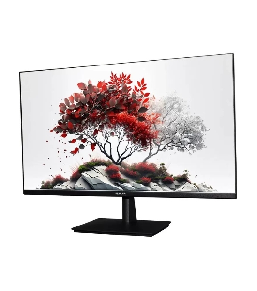 Монитор RDW Computers 23.8' RDW2401K черный IPS 4ms HDMI M/M HAS Piv 350cd 178гр/178гр 1920x1080 100Hz VGA DP FHD USB (RUS)
