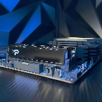 Оперативная память Patriot Signature Premium, DDR5, 16Gb (1x16 GB), 5600 MHz, CL46, DIMM, радиатор, черный, фото6