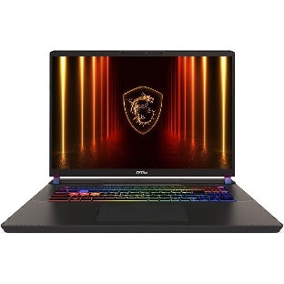 Ноутбук MSI Vector 17 HX AI A2XWHG-240XRU/17'/IPS/Intel Core Ultra 9 275HX/32Gb/1Tb SSD/NVIDIA GeForce RTX 5070 Ti 12Gb/NoOS/серый/3kg