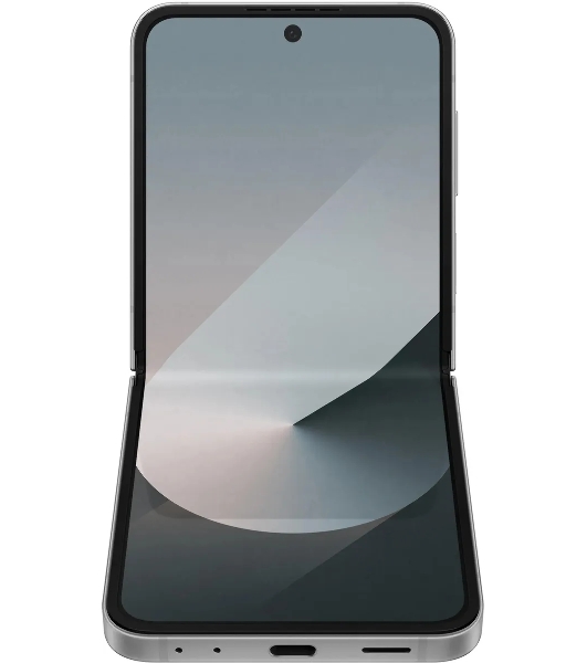 Смартфон Samsung Galaxy Z Flip6 5G SM-F741B, 12/512Gb, серый
