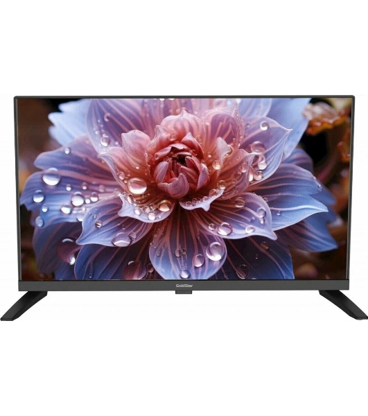 Телевизор GOLDSTAR 24' LT-24R1100 черный DLED HD 60Hz Smart TV