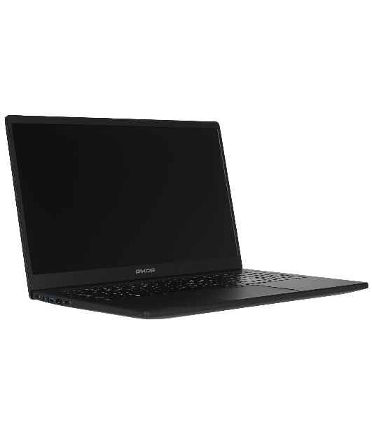 Ноутбук 15.6' IPS FHD RIKOR NINO 201.1 черный (AMD Ryzen 5 5500U/16Gb/256Gb SSD/VGA int/W11Pro/RJ45) (D6EC3CC9)