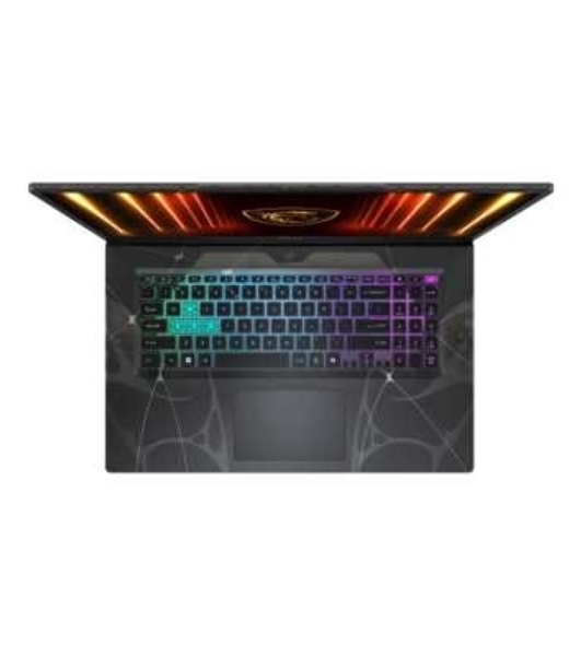 Ноутбук MSI Cyborg 17 B13WEKG-212XRU i5 13420H/16Gb/SSD 1Tb/RTX 5050 8Gb/17.3'/IPS/FHD/DOS/черный