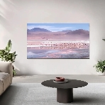 Телевизор TCL 43' 43P7K черный QLED 4K UHD 60Hz Google TV, фото14