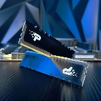 Оперативная память Patriot Signature Premium, DDR5, 64Gb (2x32 Gb), 4800 MHz, CL40, DIMM, радиатор, черный, фото2