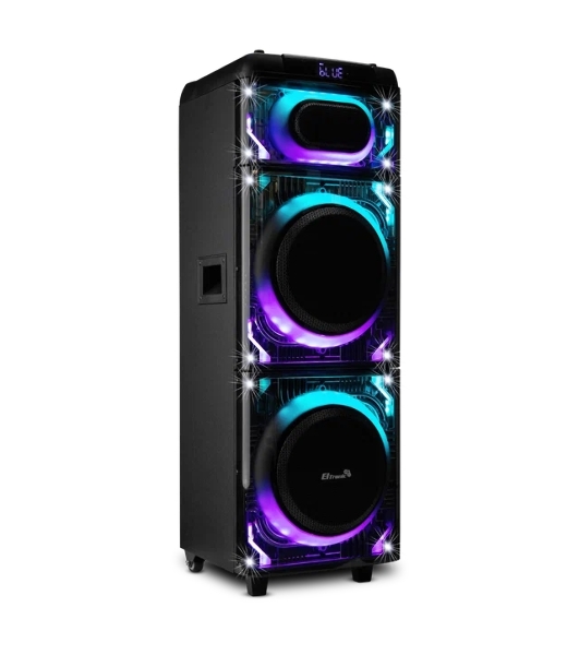 Колонка 10' (20-22 SKILLETS BOX 2500 ) динамик 2шт/10' ELTRONIC с TWS