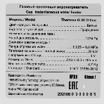 Колонка газовая Thermex G 20 D Eco белый, фото5