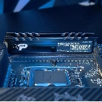 Оперативная память Patriot Signature Premium, DDR5, 64Gb (2x32 Gb), 4800 MHz, CL40, DIMM, радиатор, черный, фото6