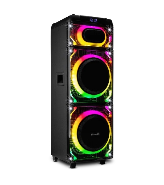 Колонка 10' (20-22 SKILLETS BOX 2500 ) динамик 2шт/10' ELTRONIC с TWS
