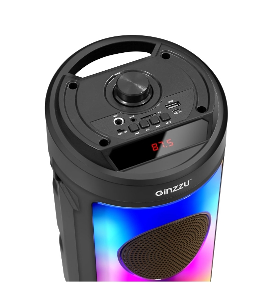 Акустическая система Midi GM-231 TWS/BT/USB/TF/FM/ДУ черный