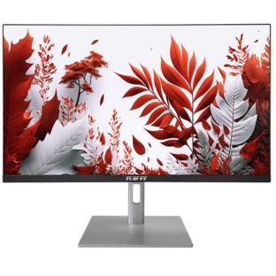 Монитор 23.8' RDW Computers RDW2407 IPS 1920x1080, 120 Гц, 1 мс (MPRT), 16:9, 300 кд/м², VGA, HDMI, DP, USB-C, USB Hub, 3.5 Jack, динамики, HDR10, черно-серебристый