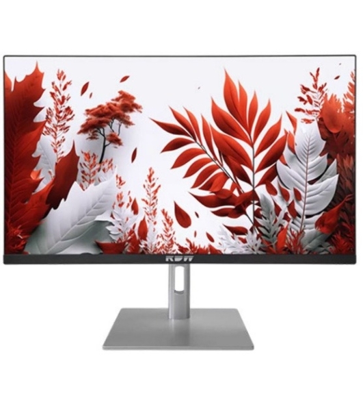Монитор 23.8' RDW Computers RDW2407 IPS 1920x1080, 120 Гц, 1 мс (MPRT), 16:9, 300 кд/м², VGA, HDMI, DP, USB-C, USB Hub, 3.5 Jack, динамики, HDR10, черно-серебристый