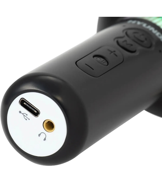 Микрофон беспроводной Hyundai H-MIC101 черный