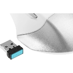 Мышь беспроводная A4Tech Fstyler FB35 белый/серый, 2000 dpi, радиоканал, Bluetooth, USB, кнопки - 6, фото11