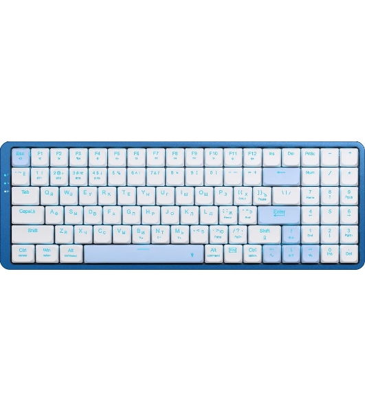 Клавиатура Redragon Eva Pro гибридная, USB Type-A, Bluetooth, радиоканал, белый/синий