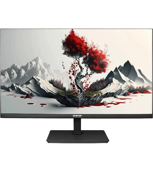 Монитор 23.8' RDW Computers RDW2401K IPS 1920x1080, 100 Гц, 4 мс, 16:9, 300 кд/м², HDMI 1.4, DP, VGA, 3.5 Jack, черный