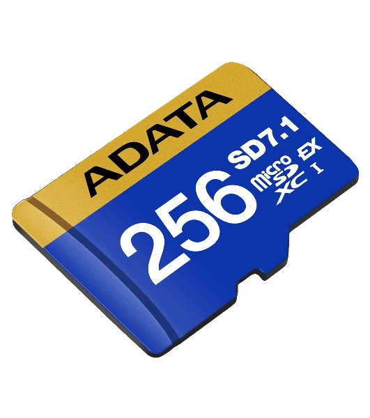 Флеш карта SD 256Gb ADATA Premier Extreme SDXC Class 10 UHS-I U3 V30S 800/700 MB/s (UD256GEX3L1-C)