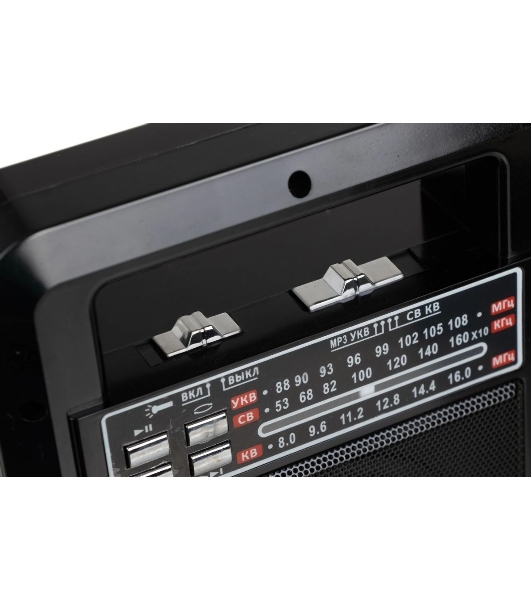 Радиоприемник портативный Сигнал Vikend Traveler черный USB SD/MMC
