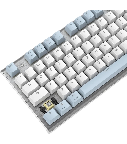 Клавиатура проводная A4Tech Fstyler FS100 Neon, USB, синий/белый