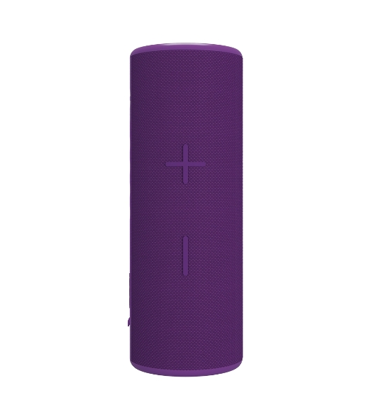 Портативная колонка Soundmax SM-PS5024B(фиолетовый)