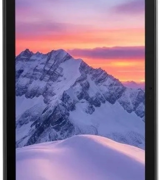 Планшет Blackview ACTIVE 10 PRO 10.95', 12Gb, 256Gb, 3G, LTE, 5G, Android 14, черный