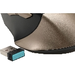Мышь беспроводная A4Tech Fstyler FG35 золотистый/черный, 2000 dpi, радиоканал, USB, кнопки - 6, фото2