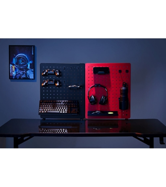 Органайзер Cactus CS-PEGb-RDBK черный/красный