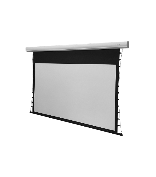 Экран с электроприводом Lumien Cinema Control 219x362 см (раб.область 198х352 см) (159') Matte White FiberGlass черная кайма по периметру, доп.черная область 10 см, триггер., RS232, IR, RF управл. в комплекте, цвет корпуса 'титаниум' 16:9