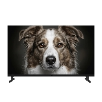 Телевизор TopDevice 32' TDWC32BH5260V черный DLED HD 60Hz Smart TV 1.5GB/32GB, фото 1