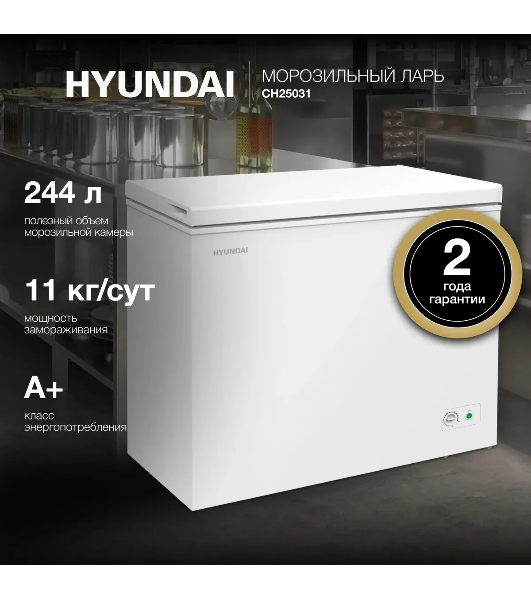 Морозильный ларь Hyundai CH25031 белый
