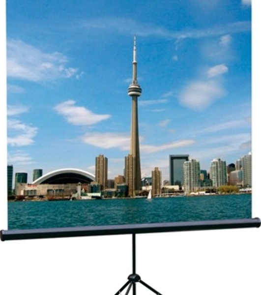 Экран на треноге Lumien 200x200 см Eco View LEV-100103 1:1 напольный рулонный