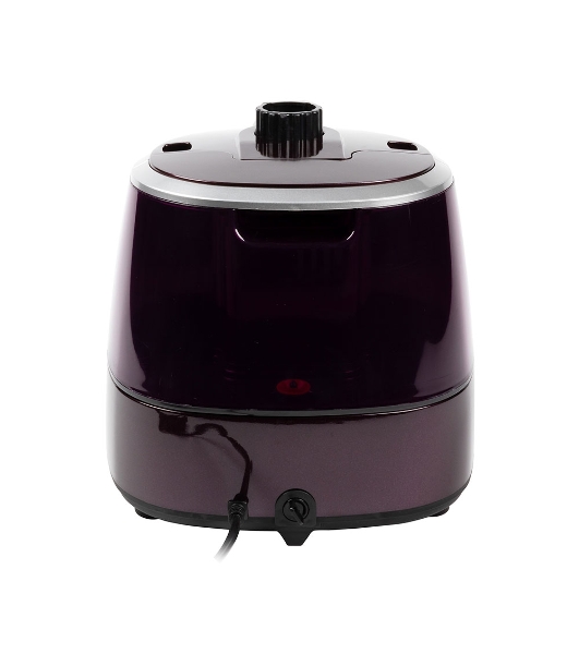 Отпариватель Endever Odyssey Q-7 сливовый, 2200 Вт, 85 г/мин, 2800 мл