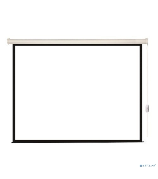 Экран с электроприводом Lumien Eco Control 229x305 см (раб. область 221х297 см) Matte White черная кайма по периметру 4:3