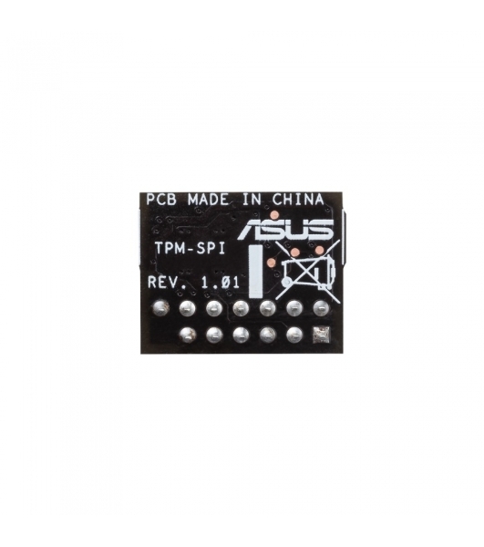 Модуль TPM-SPI