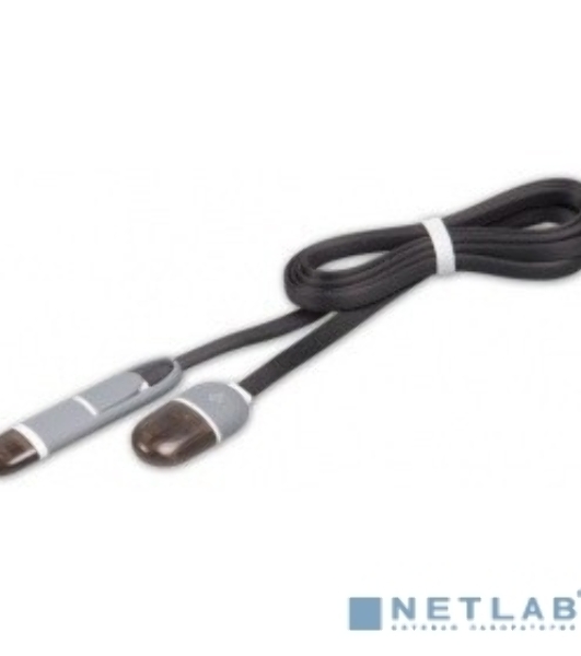 Кабель RITMIX Кабель 2в1 MicroUSB+Lightning 8pin-USB для синхронизации/зарядки, 1м черный (RCC-200)