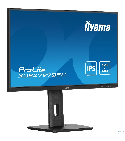 Монитор Iiyama 27' ProLite XUB2797QSU-B2 черный IPS LED 1ms 16:9 HDMI M/M матовая HAS Piv 1300:1 300cd 178гр/178гр 2560x1440 100Hz DP QHD USB 5.7кг