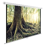 Экран Cactus 220x220см WallExpert CS-PSWE-220x220-WT 1:1 настенно-потолочный рулонный, фото3