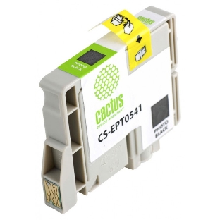 Картридж струйный Cactus CS-EPT0541 черный (16,2 мл) для Epson Stylus Photo R800/R1800